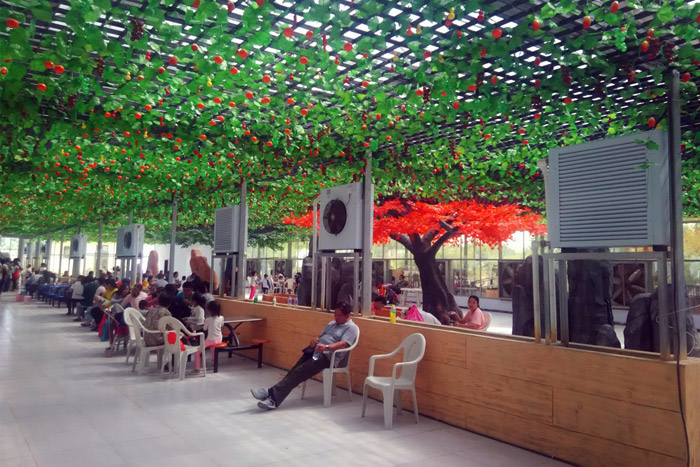 生態(tài)餐廳熱水暖風機案例實拍